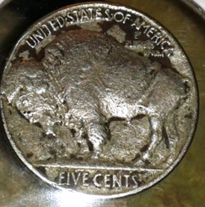 I-Would-Like-To-Know-What-They-Think-About-This-Buffalo-From-1928?.
